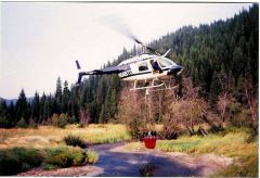 Homestead Helicopters in Idaho